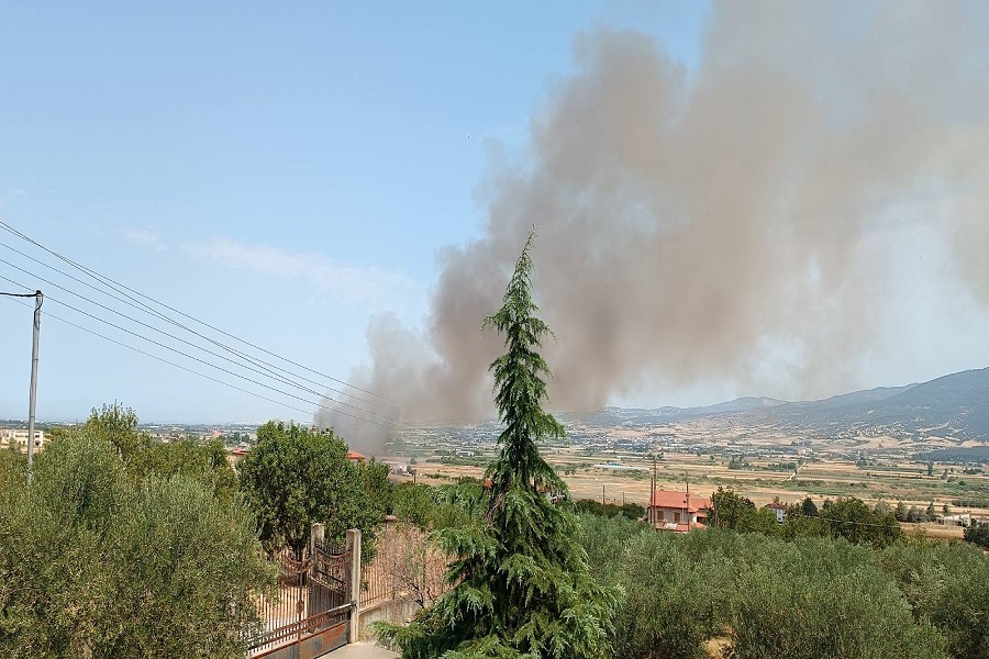 Φωτιά στον Δ. Θέρμης