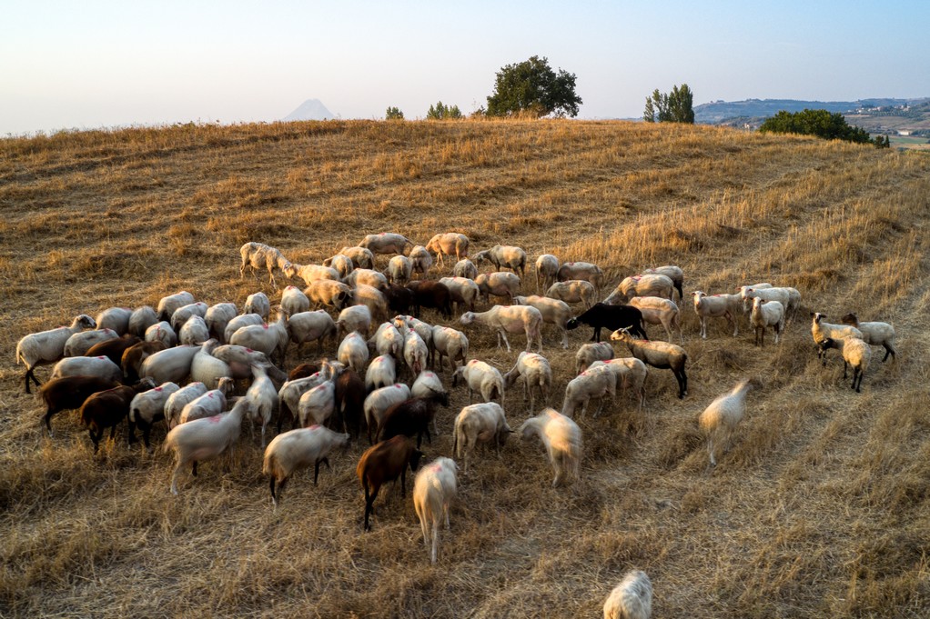 Φωτογραφία Αρχείου