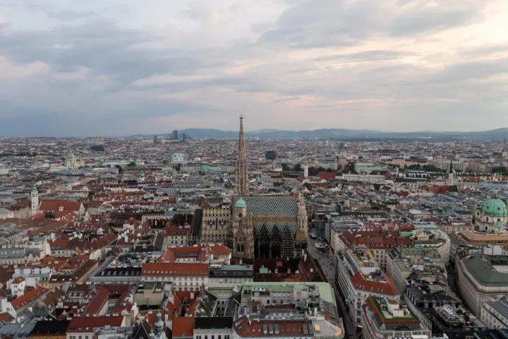 vienni.jpg