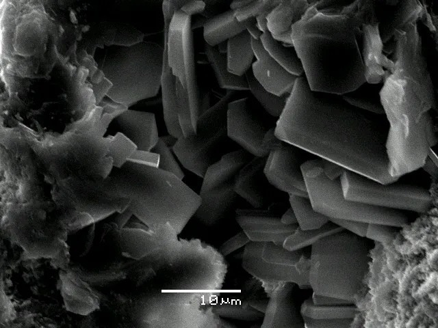 Εικόνες από ηλεκτρονικό μικροσκόπιο τόφφων πλούσιων σε κλινοπτιλόλιθο από τους Μεταξάδες, Έβρου, Ελλάδα Εικόνες από ηλεκτρονικό μικροσκόπιο τόφφων πλούσιων σε κλινοπτιλόλιθο από τους Μεταξάδες, Έβρου, Ελλάδα