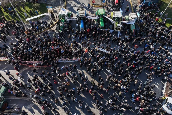 limaniagrotes (4).jpg