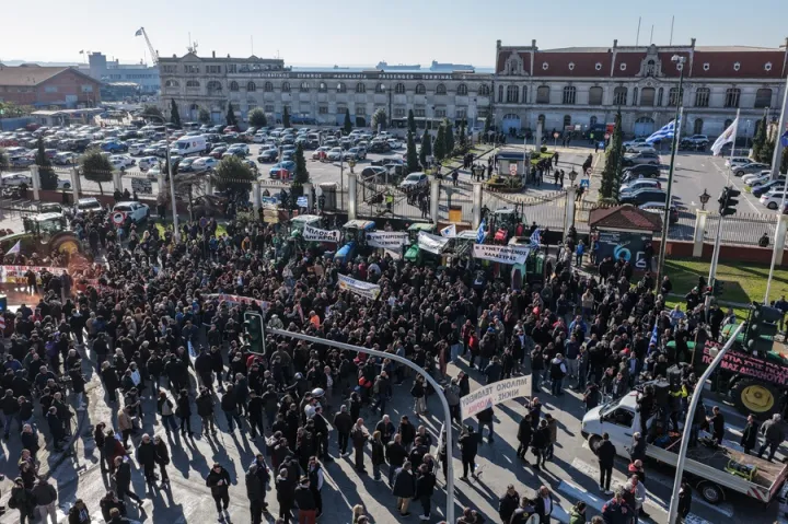 limaniagrotes (6).jpg